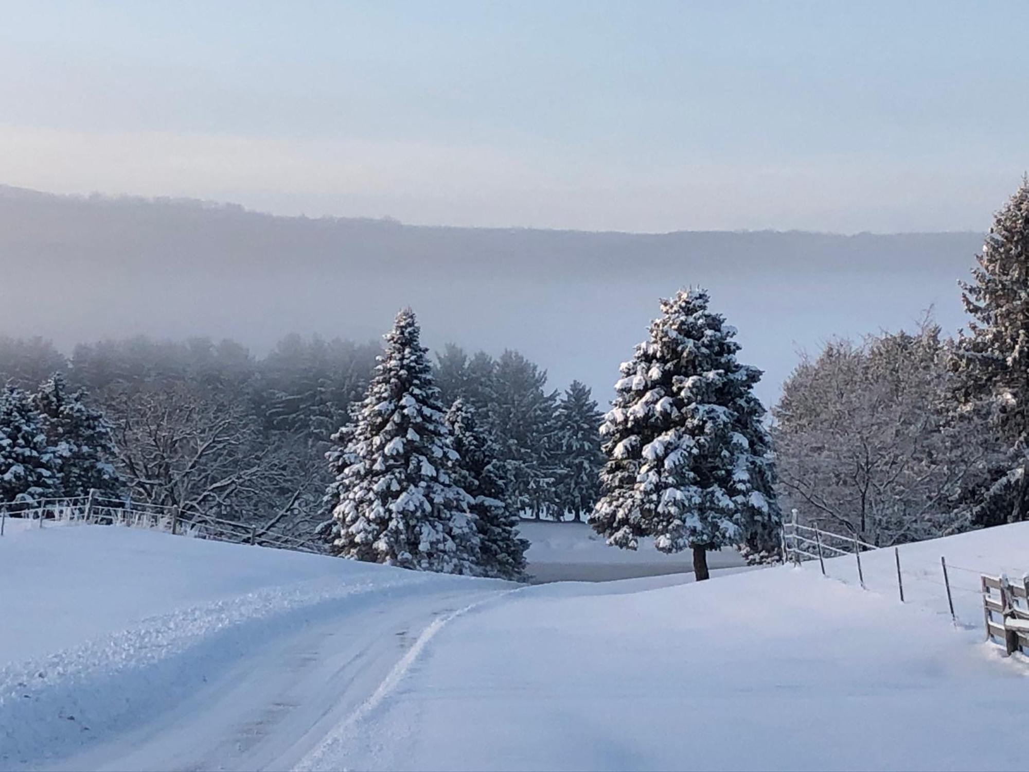 Pinehaven Country Inn Baraboo Dış mekan fotoğraf